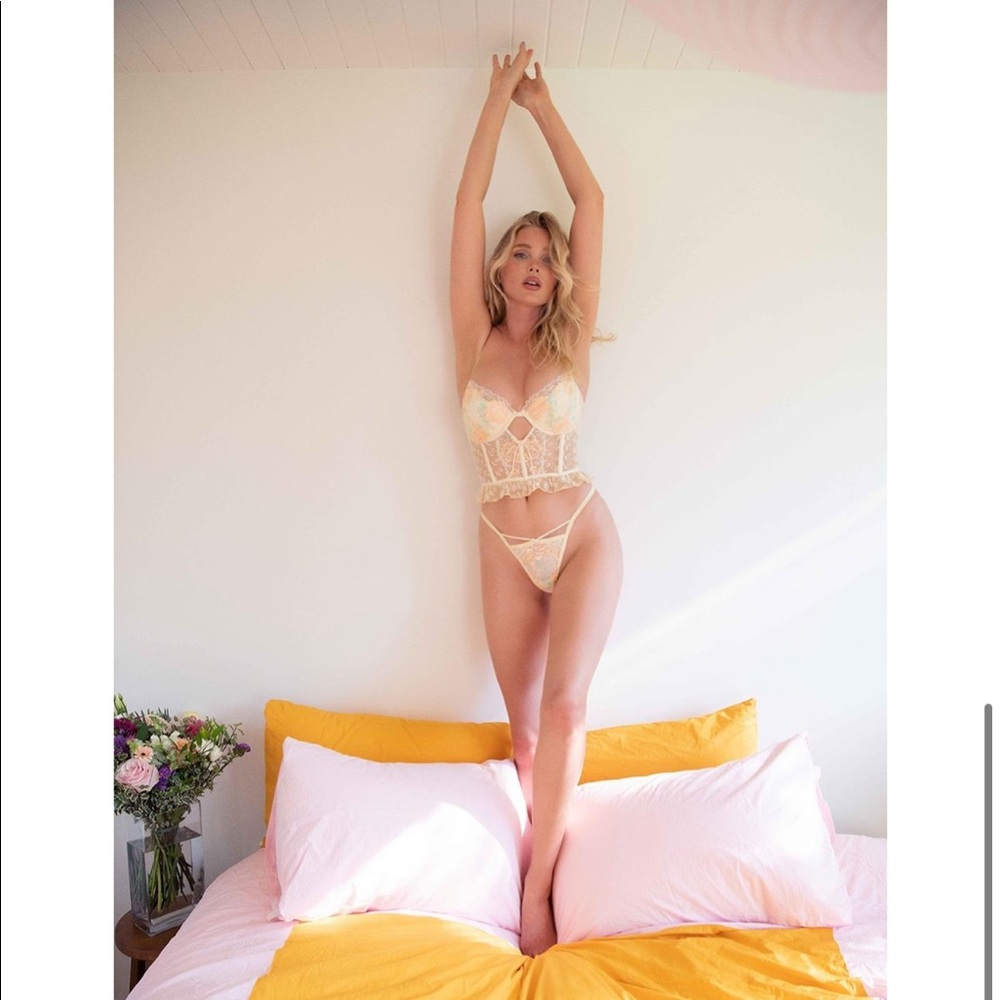 Vintage Eyelet Rose Thong and Bustier set
